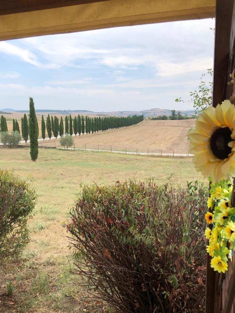 Casa Country House Girasole Vakantie Huis-Wakacje Huis Asciano Exterior photo